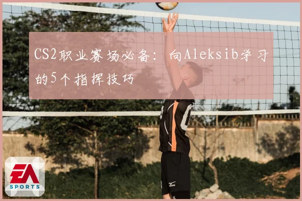 CS2职业赛场必备:向Aleksib学习的5个指挥技巧