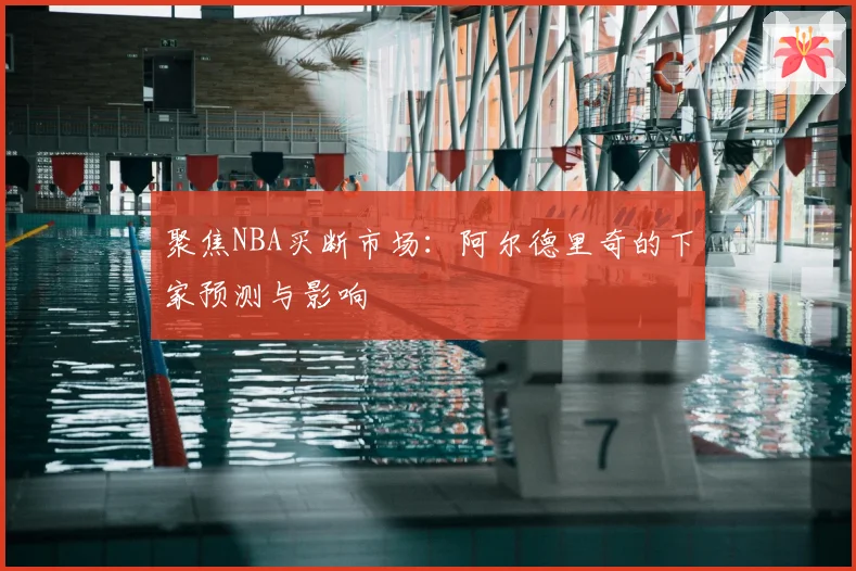 聚焦NBA买断市场：阿尔德里奇的下家预测与影响